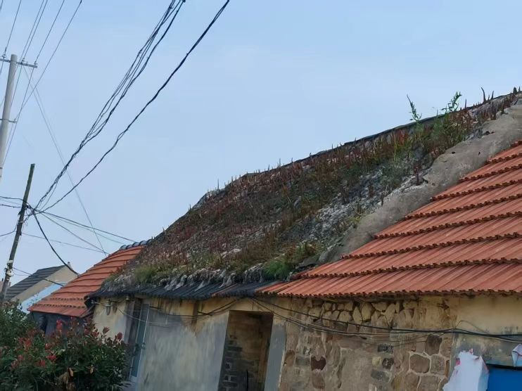 微信图片_20251103195524